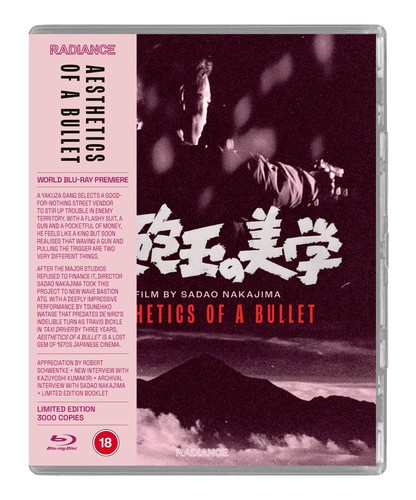 Aesthetics bullet - aesthetics,