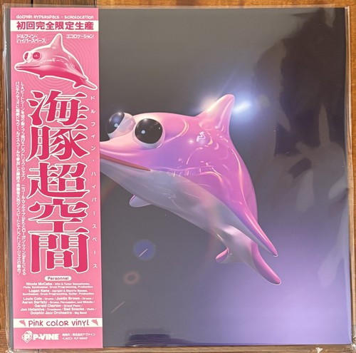 Echolocation dolphin - echolocation,