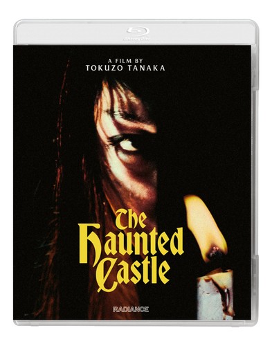 The haunted castle - haunted,
