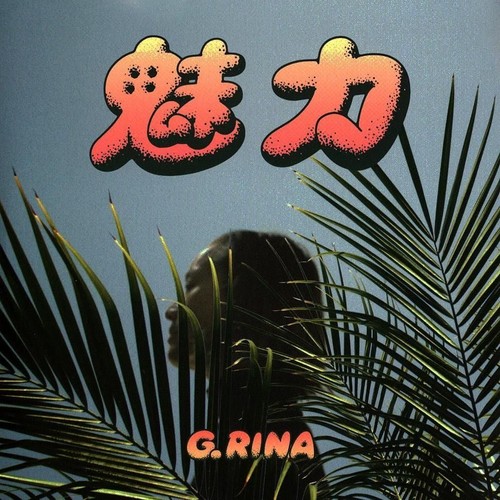 Vinile nuovo rina - vinile,